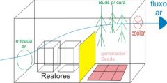 caixa reatores secagem / germinação