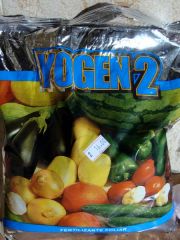 Yogen 2