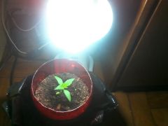 IMG 20130518 165333