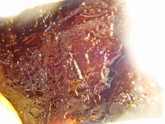 hash Oil