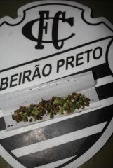 use prensado como tabaco