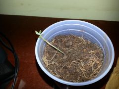 20130611 092952