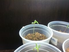 20130610 234413