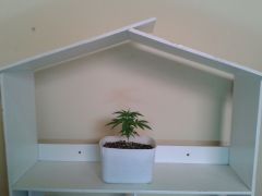 GROWROOM seu espaço para crescer