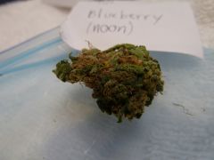 The Noon   Blueberry