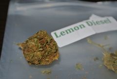 Lemon Diesel