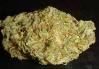 Old lemon chitral kush