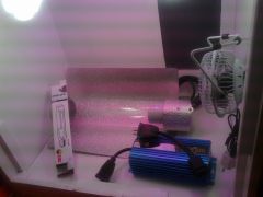 HPS Son T. Plus  +  Refletor asa de gaivota/cooltube  + Ballast Digital Revolt 250W!