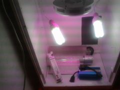 Setup veg, iluminando setup flora!