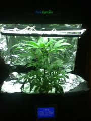 Aerogarden ULTRA