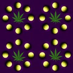 32628 518846101486926 33012673 N
