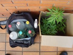 Bagagem da visita da guerrilha de hj.Agua com fertilizante,3 garrafas,agua com enraizador para regar as mudas que seriam plantadas,2 garrafas,uma garrafa de veneno,a algumas mudas.