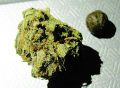 ogkushxhaze