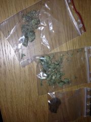 Bubblegum, Northern Lights e Hax nepales 2 - Christiania Cph