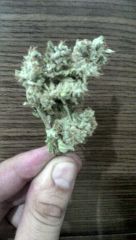 Bud Lsd