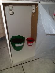 grow1