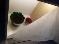 grow5