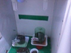 grow pronto5