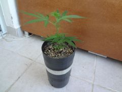 DSC01487
