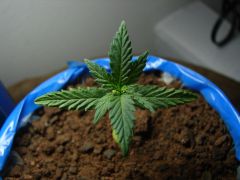 Time-lapse 48