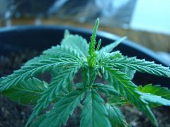 Time-lapse 148