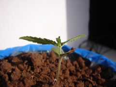 Time-lapse 24