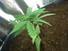 Time-lapse 91