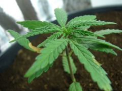 Time-lapse 105
