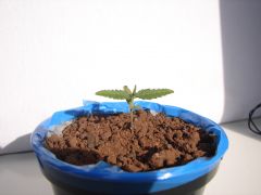 Time-lapse 20