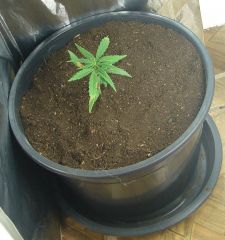 Time-lapse 80