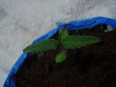 Time-lapse 31