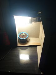 Growroom box 1
