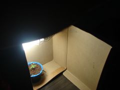 Growroom box 5