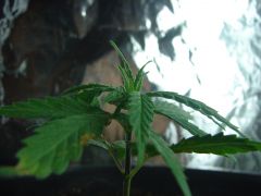 Time-lapse 122