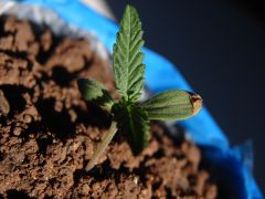 Time-lapse 14
