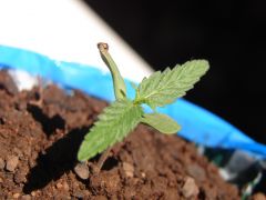 Time-lapse 19