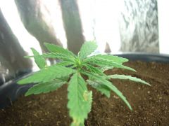 Time-lapse 103