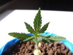 Time-lapse 53