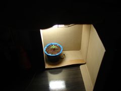 Growroom box 4