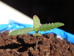 Time-lapse 18