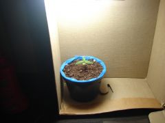 Growroom box 3