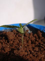 Time-lapse 23