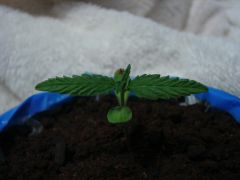Time-lapse 30