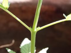DSCN0819