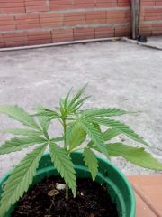 IMG 20131029 162341