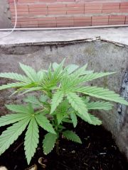 IMG 20131029 162329