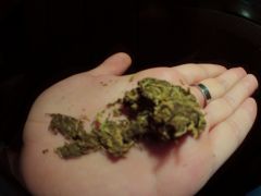 Prensado "Amarelinho" - Foto 2
