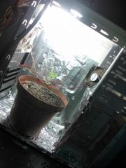 PCGROW v1.0
