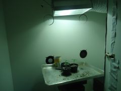 DSC00391