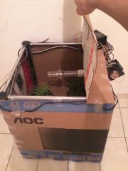 Grow aberto